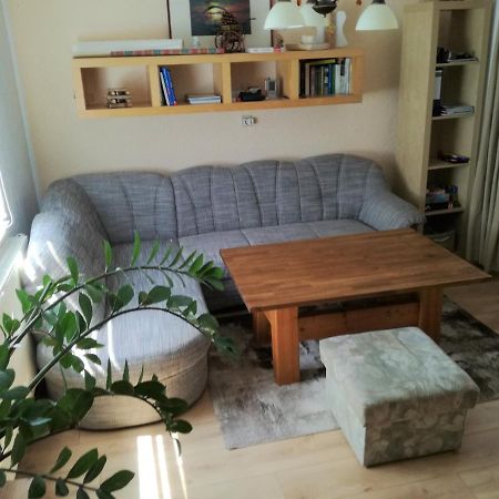 Ferienwohnung Seilerberg Freiberg Bagian luar foto